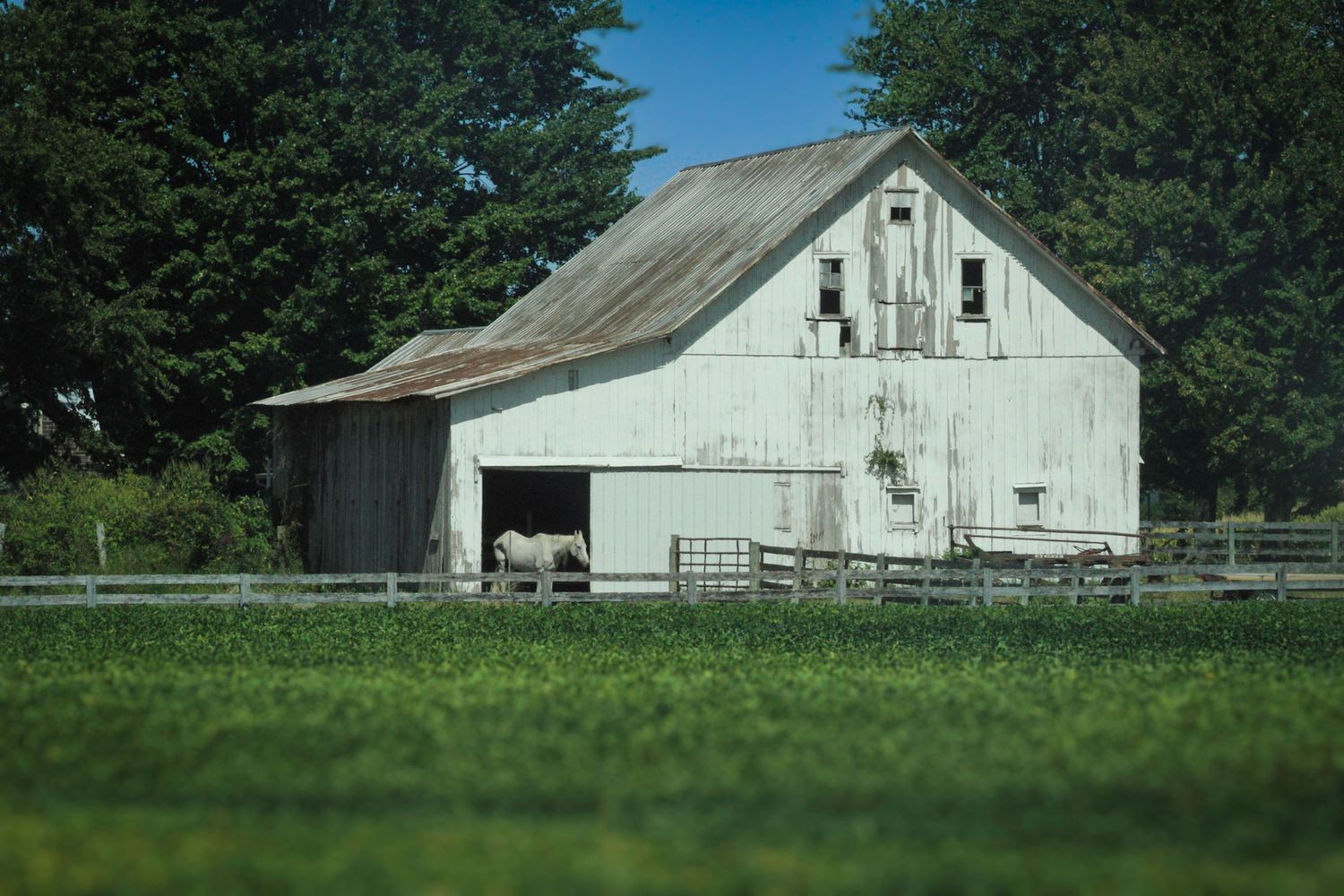 Farm barn with wood plank fence