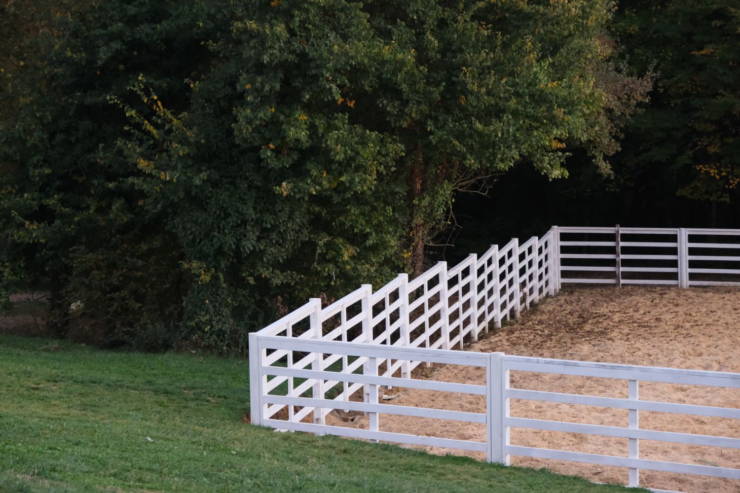 White arena fence bordering trees