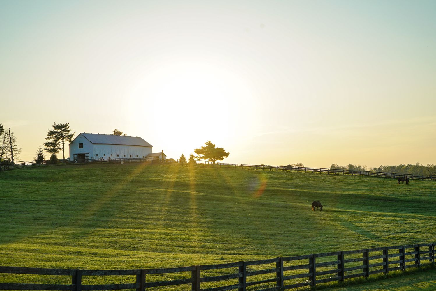 Horse pasture with wood plank fence at sunrise